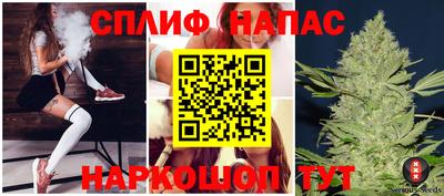 амф Донской
