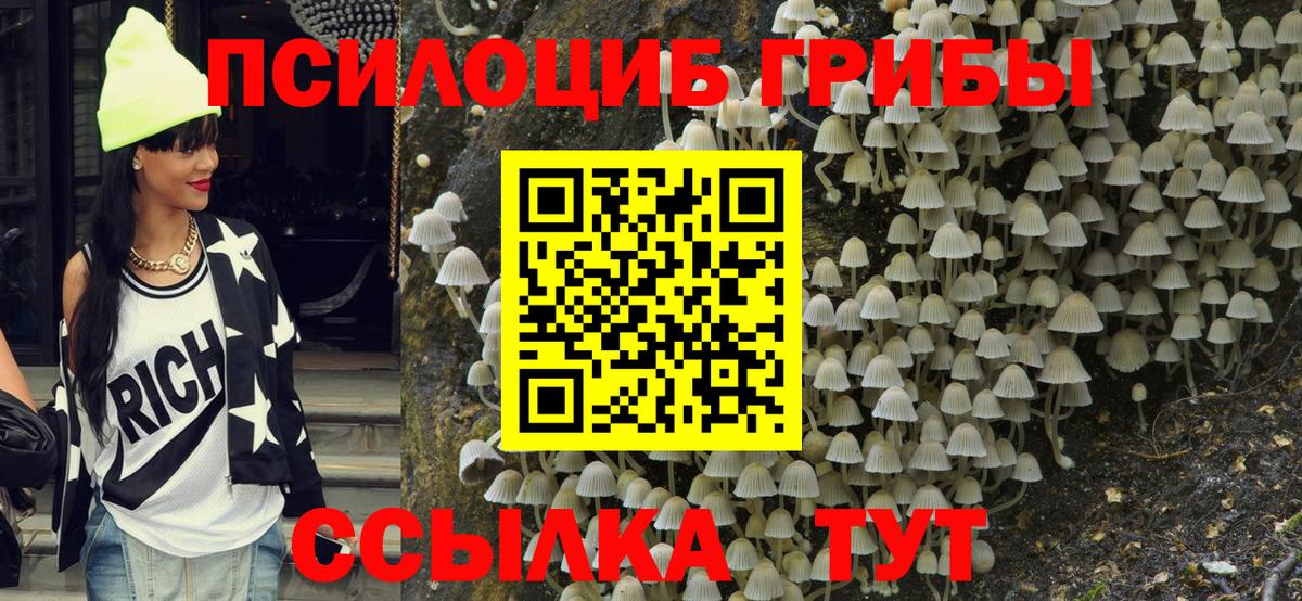 Галлюциногенные грибы мухоморы Нерюнгри