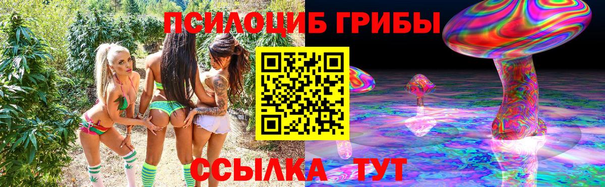 Галлюциногенные грибы Psilocybe  Вход с VPN  Нерюнгри 